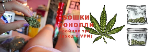 бошки Белокуриха