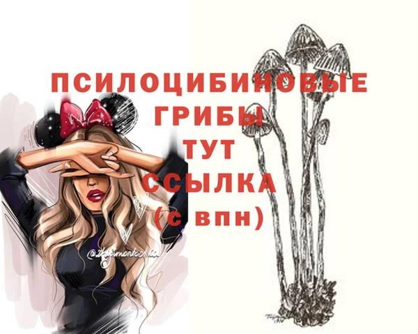 ГАЛЛЮЦИНОГЕННЫЕ ГРИБЫ Балабаново