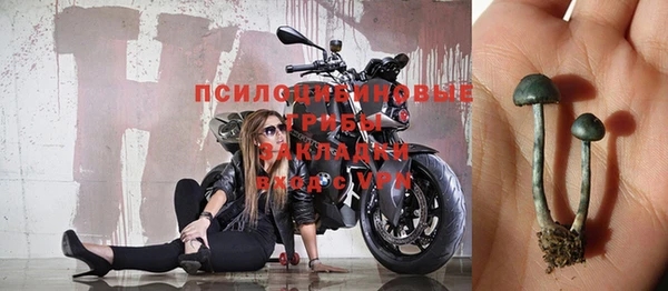 ПСИЛОЦИБИНОВЫЕ ГРИБЫ Бугульма