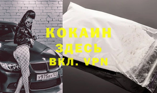 бошки Белокуриха