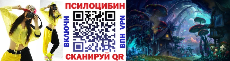 продажа наркотиков  Верхний Тагил  kraken как войти  Псилоцибиновые грибы ЛСД 