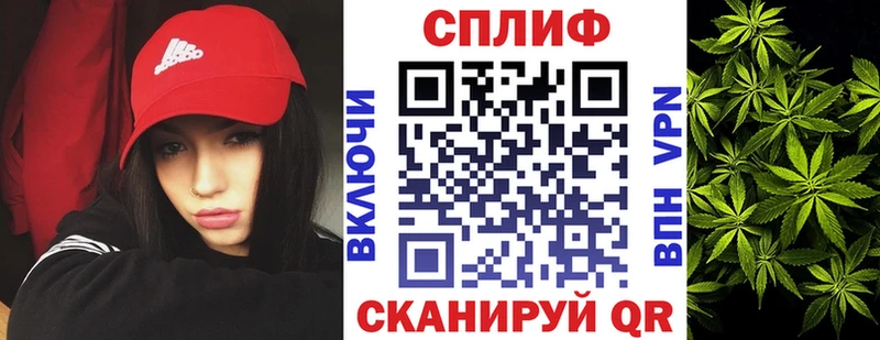Каннабис MAZAR  где найти наркотики  Верхний Тагил 